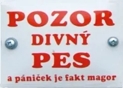 text 19